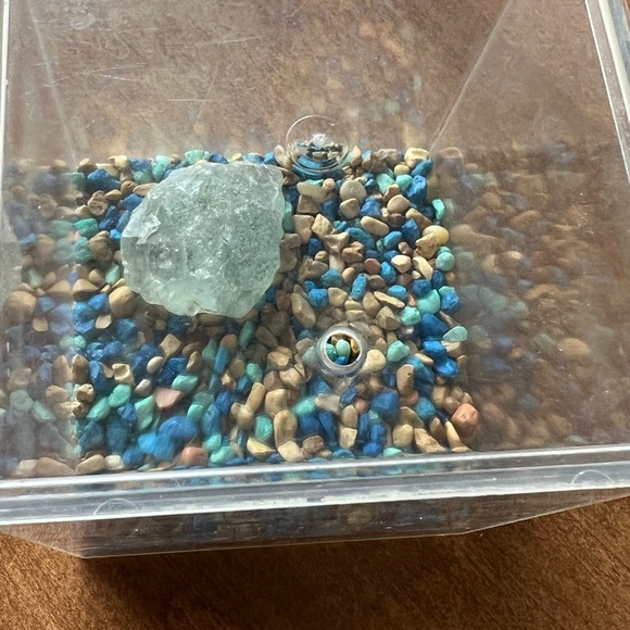 Frog Habitat - Picture 9 of 9